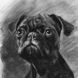 Custom Pet Portrait Charcoal Custom Dog Portrait Pet Commission Custom Charcoal Pet Custom Wall Art Pet Lover Gift Dog Art image 9