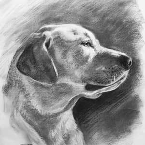 Custom Pet Portrait Charcoal Custom Dog Portrait Pet Commission Custom Charcoal Pet Custom Wall Art Pet Lover Gift Dog Art image 8