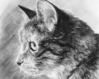 Puede incluir: Un dibujo a lápiz en blanco y negro de un gato con una etiqueta en forma de corazón que dice "Emmy" alrededor de su cuello. El gato está mirando hacia la derecha de la imagen.
