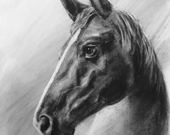 Aangepaste paardenportret houtskool | Aangepast paardenportret| Huisdierencommissie | Op maat gemaakte houtskool huisdier | Aangepaste muurkunst | Cadeau paardenliefhebber