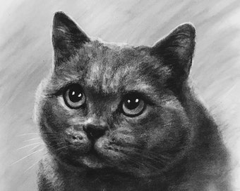 Custom Pet Portrait Drawing Charcoal Hand Drawn Cat from Photo