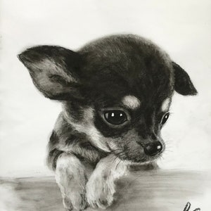 Pet Portrait Custom Charcoal Pet Loss Gift dog portrait charcoal pet illustration custom pet memorial drawing from photo image 5