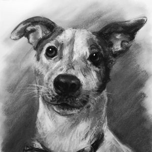 Custom Pet Portrait Charcoal Custom Dog Portrait Pet Commission Custom Charcoal Pet Custom Wall Art Pet Lover Gift Dog Art image 7