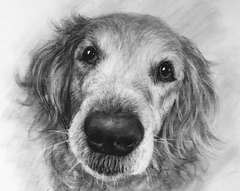 Retrato de mascota personalizado al carboncillo / Retrato de perro personalizado / Encargo de mascota / Mascota al carboncillo personalizada / Arte mural personalizado / Regalo para amantes de las mascotas / Arte canino