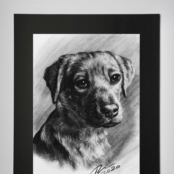 Black Mat Add-On | Custom Pet Portrait Charcoal | Custom Dog Portrait| Pet Commission | Custom Charcoal Pet | Custom Wall Art