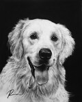 Pure Black Background for Charcoal Portrait ***Add-On Only***