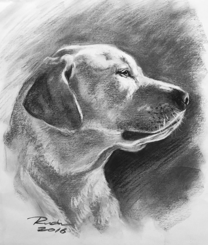 Custom Pet Portrait Charcoal Custom Dog Portrait Pet Commission Custom Charcoal Pet Custom Wall Art Pet Lover Gift Dog Art image 8