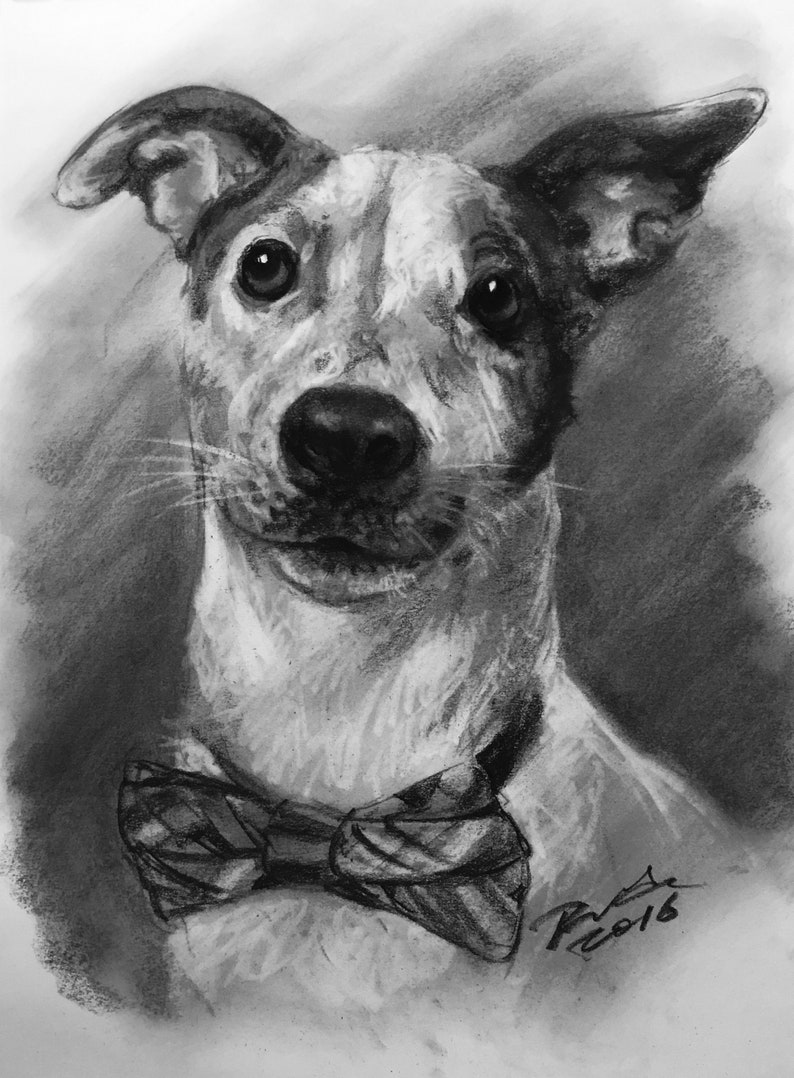 Custom Pet Portrait Charcoal Custom Dog Portrait Pet Commission Custom Charcoal Pet Custom Wall Art Pet Lover Gift Dog Art image 7