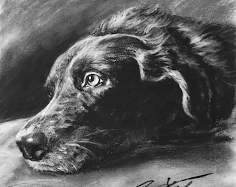 Custom Pet Portrait Charcoal | Custom Dog Portrait| Pet Commission | Custom Charcoal Pet | Custom Wall Art | Pet Lover Gift | Dog Art