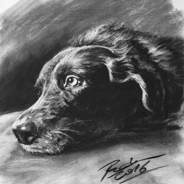Custom Charcoal Pet Portrait Drawing, Hand Drawn Dog Art