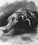 Custom Pet Portrait Charcoal | Custom Dog Portrait| Pet Commission | Custom Charcoal Pet | Custom Wall Art | Pet Lover Gift | Dog Art 