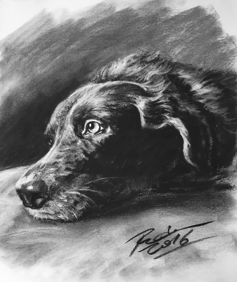 Custom Pet Portrait Charcoal Custom Dog Portrait Pet Commission Custom Charcoal Pet Custom Wall Art Pet Lover Gift Dog Art image 3