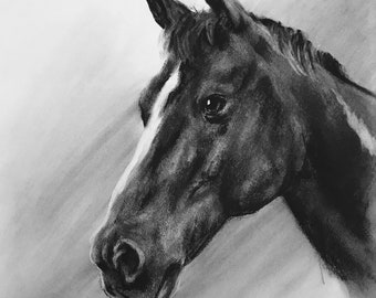 Può includere: Un disegno a carboncino in bianco e nero di una testa di cavallo. Il cavallo guarda a sinistra dell'immagine. Il disegno è firmato in basso a destra.