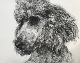 Pet Portrait Custom Charcoal | Pet Loss Gift | dog portrait charcoal | pet illustration | custom pet memorial | drawing from photo |