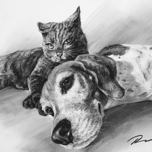 Huisdierportret op maat houtskool | Cadeau huisdierverlies | hondenportret houtskool | illustratie huisdier | op maat gemaakt gedenkteken voor huisdieren | tekening van foto |
