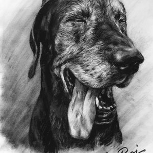 Op de afbeelding: Een zwart-witte tekening met houtskool van een hond met zijn bek open en zijn tong eruit. De ogen van de hond zijn gesloten en hij lijkt te gapen. De tekening is gesigneerd met "Le Roi" en gedateerd met "12.2020".