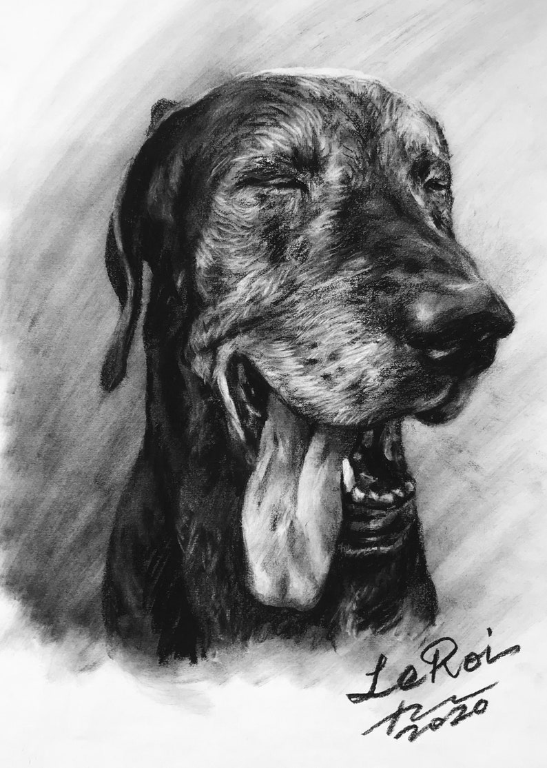 Op de afbeelding: Een zwart-witte tekening met houtskool van een hond met zijn bek open en zijn tong eruit. De ogen van de hond zijn gesloten en hij lijkt te gapen. De tekening is gesigneerd met "Le Roi" en gedateerd met "12.2020".