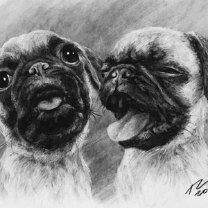 Pet Portrait Custom Charcoal Pet Loss Gift dog portrait charcoal pet illustration custom pet memorial drawing from photo image 6