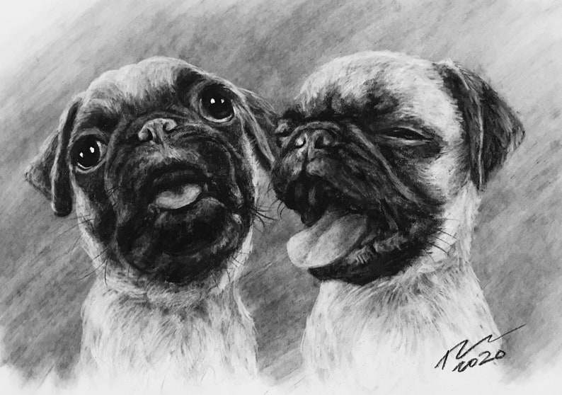 Pet Portrait Custom Charcoal Pet Loss Gift dog portrait charcoal pet illustration custom pet memorial drawing from photo image 6