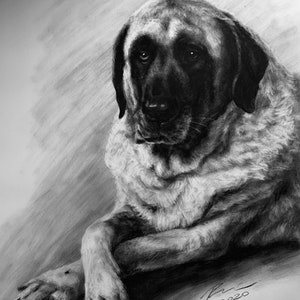 Pet Portrait Custom Charcoal Pet Loss Gift dog portrait charcoal pet illustration custom pet memorial drawing from photo image 9