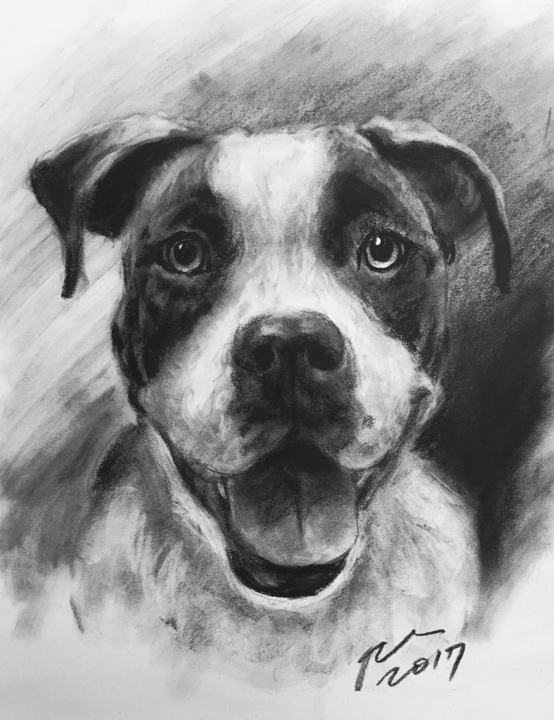 Custom Pet Portrait Charcoal Custom Dog Portrait Pet Commission Custom Charcoal Pet Custom Wall Art Pet Lover Gift Dog Art image 6