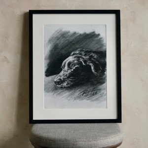 Op de afbeelding: Zwart-witte houtskooltekening van een hondenkop in een zwart frame. De tekening is gesigneerd met "Rich 2016".