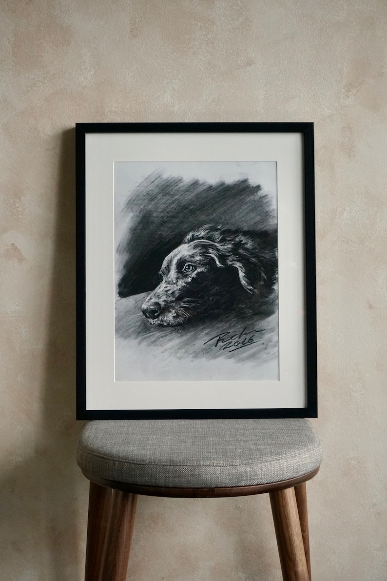 Op de afbeelding: Zwart-witte houtskooltekening van een hondenkop in een zwart frame. De tekening is gesigneerd met "Rich 2016".