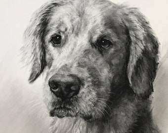 Portrait d'animal de compagnie personnalisé au fusain | Cadeau de perte d'animal de compagnie | portrait de chien au fusain | illustration pour animaux de compagnie | mémorial personnalisé pour animaux de compagnie | dessin d'après photo |