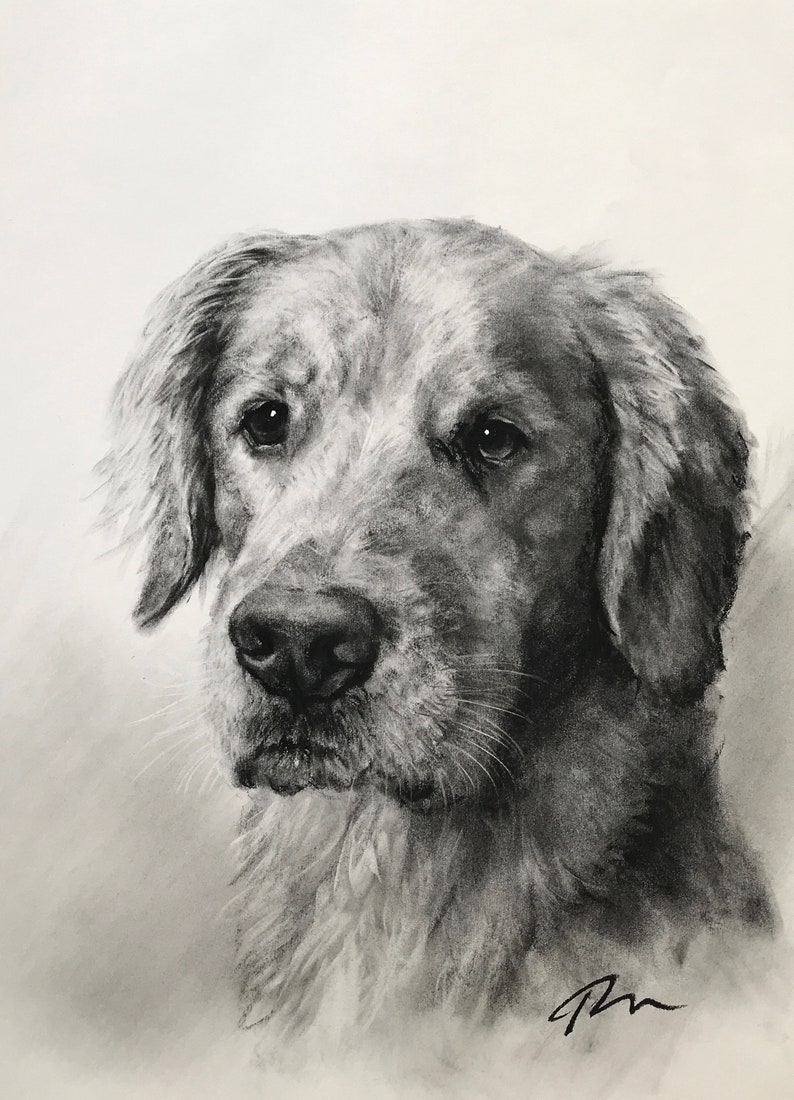 Pet Portrait Custom Charcoal Pet Loss Gift dog portrait charcoal pet illustration custom pet memorial drawing from photo image 1