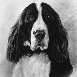 Custom Pet Portrait Charcoal Custom Dog Portrait Pet Commission Custom Charcoal Pet Custom Wall Art Pet Lover Gift Dog Art image 5