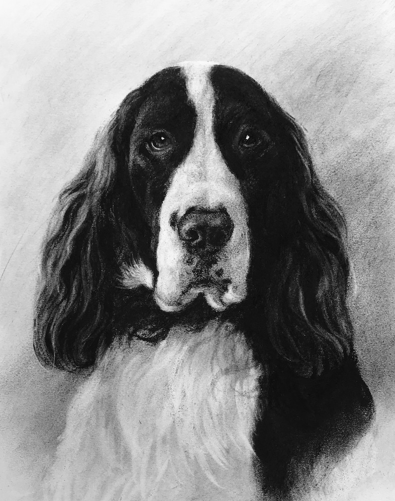 Custom Pet Portrait Charcoal Custom Dog Portrait Pet Commission Custom Charcoal Pet Custom Wall Art Pet Lover Gift Dog Art image 5