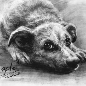 Pet Portrait Custom Charcoal Pet Loss Gift dog portrait charcoal pet illustration custom pet memorial drawing from photo image 7