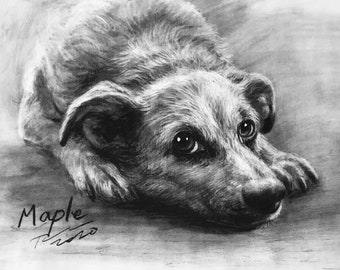 Custom Pet Portrait Charcoal/Dog Charcoal Drawing/Charcoal Pet Portrait/Dog Portrait Custom/Dog Loss Gift/Dog Portrait Custom Charcoal