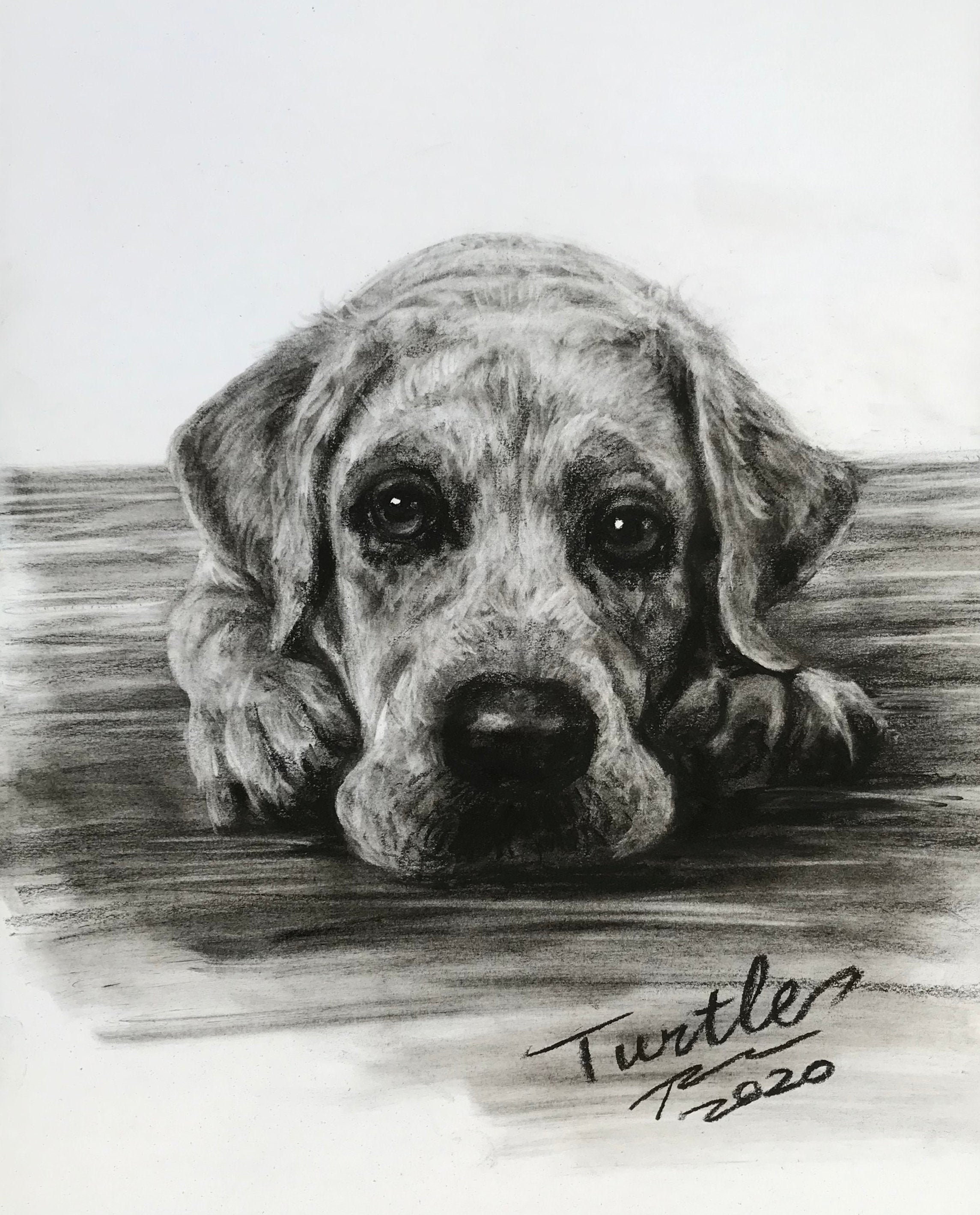 Custom Pet Portrait Charcoal/dog Charcoal Drawing/charcoal Pet Etsy