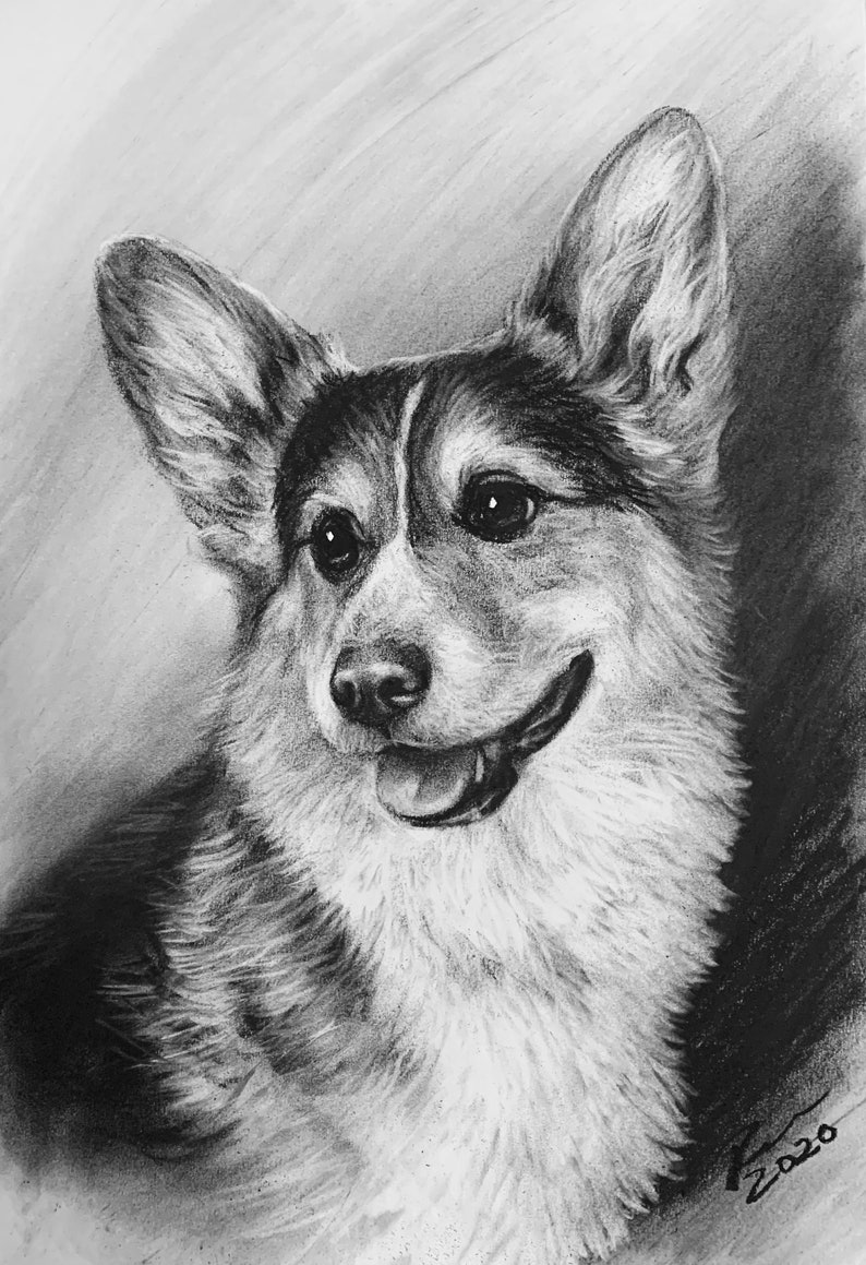 Custom Pet Portrait Charcoal Custom Dog Portrait Pet Commission Custom Charcoal Pet Custom Wall Art Pet Lover Gift Dog Art image 1