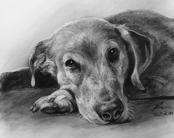 Pet Portrait Custom Charcoal | Pet Loss Gift | dog portrait charcoal | pet illustration | custom pet memorial | drawing from photo |