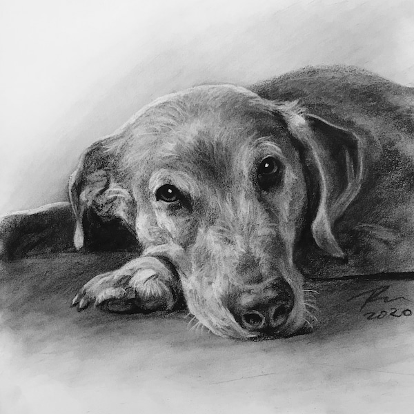 Pet Portrait Custom Charcoal | Pet Loss Gift | dog portrait charcoal | pet illustration | custom pet memorial | drawing from photo |