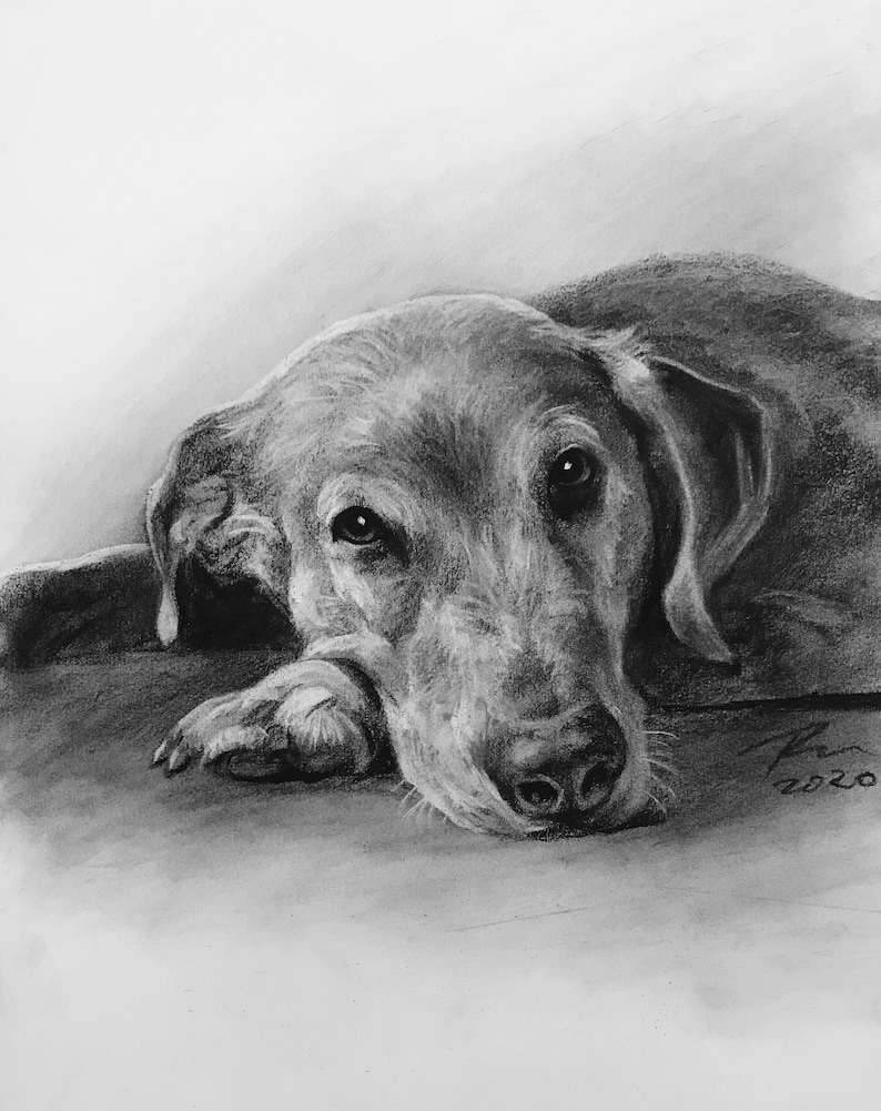 Pet Portrait Custom Charcoal | Pet Loss Gift | dog portrait charcoal | pet illustration | custom pet memorial | drawing from photo |