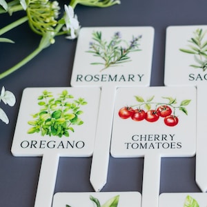 Herb Garden Markers, Potted Plants Stakes, Labeled Herbs Markers, Acrylic Garden Markers, Gift for Mom, Garden Accessory, Herbs Garden Tags