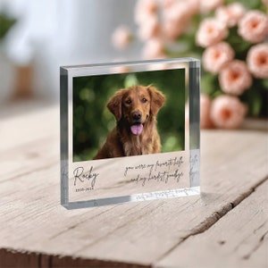 Pode incluir: Um bloco de foto de vidro transparente com uma imagem de um c&atilde;o golden retriever. O texto "Rocky 2010-2024" e "voc&ecirc; foi meu oi favorito e meu adeus mais dif&iacute;cil" est&aacute; impresso no bloco.