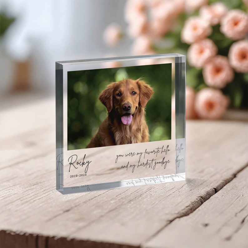 Pode incluir: Um bloco de foto de vidro transparente com uma imagem de um c&atilde;o golden retriever. O texto "Rocky 2010-2024" e "voc&ecirc; foi meu oi favorito e meu adeus mais dif&iacute;cil" est&aacute; impresso no bloco.