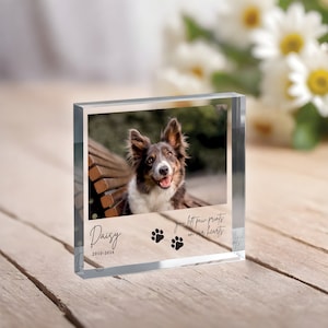 Pode incluir: Um bloco de foto de vidro transparente com uma imagem de um c&atilde;o sentado em um banco. O texto "Daisy 2010-2024" est&aacute; impresso no bloco, juntamente com o texto "your left paw prints on our hearts" e duas pegadas.