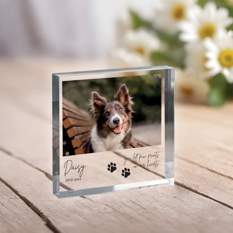 Pode incluir: Um bloco de foto de vidro transparente com uma imagem de um c&atilde;o sentado em um banco. O texto "Daisy 2010-2024" est&aacute; impresso no bloco, juntamente com o texto "your left paw prints on our hearts" e duas pegadas.