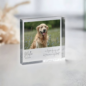 Pode incluir: Um bloco de foto de acr&iacute;lico transparente com uma imagem de um golden retriever sentado em um campo de flores. O texto "Mollie 2010-2024" est&aacute; impresso no bloco, juntamente com a cita&ccedil;&atilde;o "N&atilde;o mais ao meu lado, mas para sempre no meu cora&ccedil;&atilde;o."