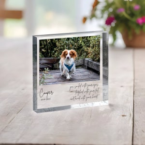Pode incluir: Um bloco de foto de acr&iacute;lico transparente com uma imagem de um c&atilde;o castanho e branco numa ponte de madeira. O texto "Cooper 2010-2024" est&aacute; gravado no bloco, juntamente com a cita&ccedil;&atilde;o "Voc&ecirc; sorriu com os seus olhos, riu com o seu rabo e amou com o seu cora&ccedil;&atilde;o."