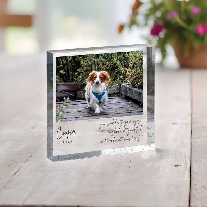 Pode incluir: Um bloco de foto de acr&iacute;lico transparente com uma imagem de um c&atilde;o castanho e branco numa ponte de madeira. O texto "Cooper 2010-2024" est&aacute; gravado no bloco, juntamente com a cita&ccedil;&atilde;o "Voc&ecirc; sorriu com os seus olhos, riu com o seu rabo e amou com o seu cora&ccedil;&atilde;o."