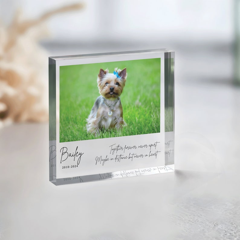 Pode incluir: Um bloco de foto de acr&iacute;lico transparente com uma imagem de um pequeno c&atilde;o castanho e branco com um la&ccedil;o azul. O texto "Bailey 2010-2024" est&aacute; impresso no bloco, juntamente com a cita&ccedil;&atilde;o "Juntos para sempre, nunca separados. Talvez na dist&acirc;ncia, mas nunca no cora&ccedil;&atilde;o."