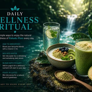 Kakadu Plum wellness infographic with Australian rainforest background showing vitamin C, antioxidant, collagen and digestive wellness support benefits