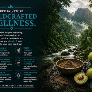 Wildcrafted Kakadu Plum wellness infographic with Australian rainforest landscape, brown superfruit powder, antioxidant support and natural vitamin C benefits