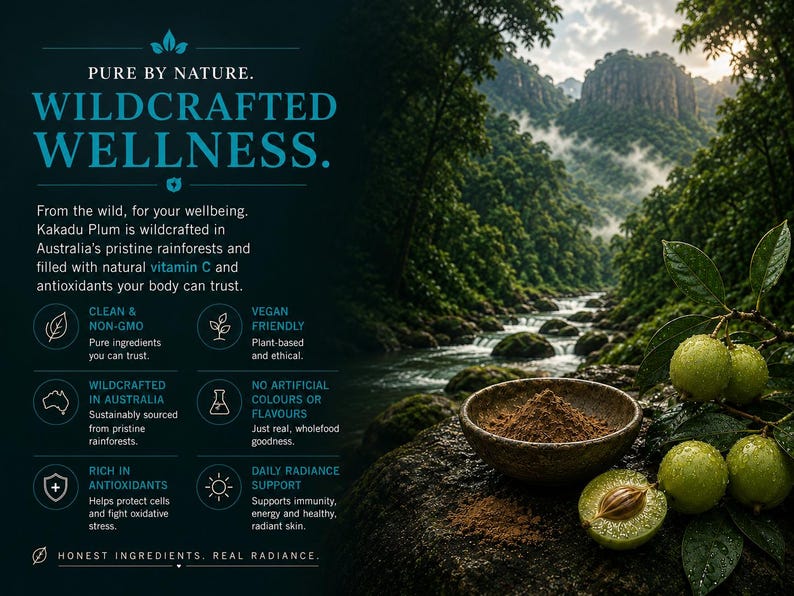 Wildcrafted Kakadu Plum wellness infographic with Australian rainforest landscape, brown superfruit powder, antioxidant support and natural vitamin C benefits